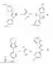 Fig. 03 - Functional monomers for molecular recognition and catalysis