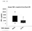Fig. 13 - Extracellular junctional adhesion molecules