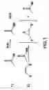 Fig. 02 - Method of preparing an epoxidized functional vegetable oil