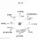 Fig. 12 - Polymerizable higher diamondoid derivatives