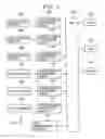 Fig. 05 - Living body information measuring system, method of identifying a living body information detecting device currently used, recording medium recording the method of identifying a living body information detecting device currently used, portable device, and data collector