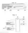 Fig. 07 - Living body information measuring system, method of identifying a living body information detecting device currently used, recording medium recording the method of identifying a living body information detecting device currently used, portable device, and data collector