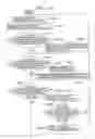 Fig. 14 - Living body information measuring system, method of identifying a living body information detecting device currently used, recording medium recording the method of identifying a living body information detecting device currently used, portable device, and data collector
