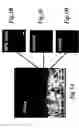 Fig. 07 - Methods for assessing a physiological state of a mammalian retina