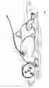 Fig. 03 - Method and apparatus for determining blood flow characteristics in small infants