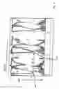 Fig. 05 - Method and apparatus for determining blood flow characteristics in small infants