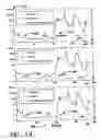 Fig. 15 - Space weather prediction system and method
