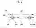 Fig. 09 - Method that aligns cDNA sequences to genome sequences
