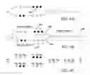 Fig. 05 - Pattern matching for large vocabulary speech recognition with packed distribution and localized trellis access