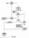 Fig. 65 - System and method for advising buyers how much to pay for goods and services based on the buyers subjective and objective criteria and tradeoffs of prices and referring buyers to sellers of these goods and services