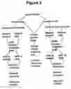 Fig. 03 - Rules-based transaction billing, reporting and compliance system