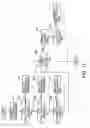 Fig. 13 - Information extraction apparatus and method