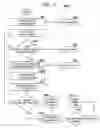 Fig. 06 - Macro-based dynamic discovery of data shape