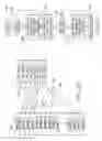 Fig. 31 - Digital device configuration and method
