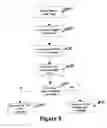 Fig. 09 - Detecting objectionable content in displayed images
