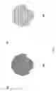 Fig. 08 - Multiple image security features for identification documents and methods of making same