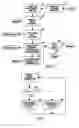 Fig. 04 - Method for verification of command processing in a computer system design having a multiple priority command queue