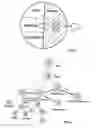 Fig. 03 - Software application software architecture and method for the construction of software applications especially for measuring systems