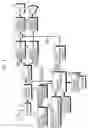Fig. 02 - Digital television broadcasting receiver