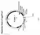Fig. 07 - Alteration of oil traits in plants