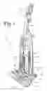 Fig. 02 - Vacuum cleaner with twin independently driven agitators