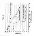 Fig. 07 - Method for manufacturing a bearing raceway member