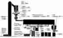 Fig. 01 - Pre-burning, dry process methodology and systems for enhancing solid fuel properties