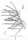 Fig. 03 - Branched spike bird deterrent