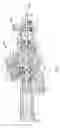 Fig. 03 - Distributor purge valve