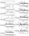 Fig. 07 - SPM cantilever and fabricating method thereof
