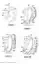 Fig. 06 - Template