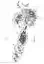Fig. 02 - Six speed motorcycle transmission