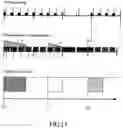 Fig. 15 - Moving apparatus and moving apparatus system