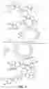 Fig. 02 - Offset lithographic printing press