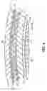 Fig. 09 - Offset lithographic printing press