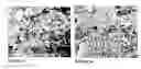 Fig. 05 - Cement compositions for high temperature applications