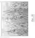 Fig. 07 - Tufted fabric with embedded stitches
