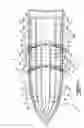 Fig. 04 - Levitation and stabilizing hull system