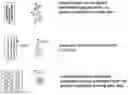 Fig. 01 - Directionally oriented particle composites