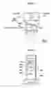 Fig. 07 - Substrate treating apparatus