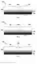 Fig. 03 - Card sheet with starch compositions forming breakable layers in pre-cut substrates