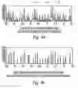 Fig. 05 - Electrophoretic analysis system having in-situ calibration