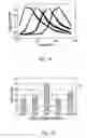 Fig. 08 - Electrophoretic analysis system having in-situ calibration