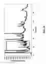Fig. 06 - Multiplexed capillary electrophoresis systems