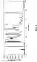 Fig. 08 - Multiplexed capillary electrophoresis systems