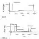 Fig. 07 - Method and apparatus to improve the concentration detection sensitivity in isoelectric focusing systems