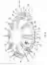 Fig. 09 - Tamper resistant container