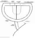 Fig. 01 - Mirror mount assembly with dual reflective surfaces