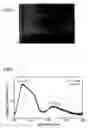 Fig. 04 - Luminous material for scintillator comprising single crystal of Yb mixed crystal oxide