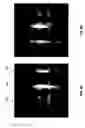 Fig. 10 - Rare earth-oxides, rare earth-nitrides, rare earth-phosphides and ternary alloys with silicon